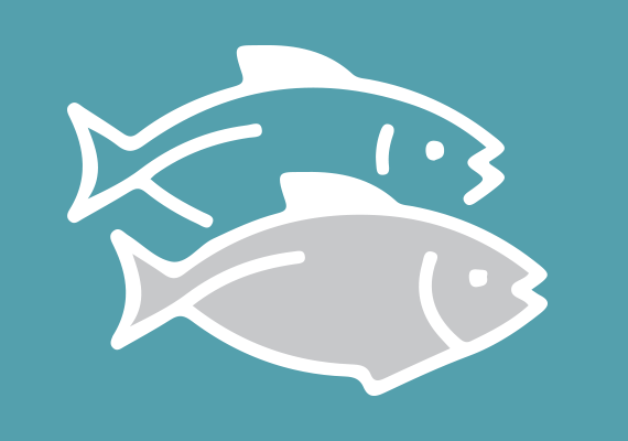 Pirms dažiem gadiem SKDS veiktais pētījums par Latvijas iedzīvotāju ēšanas paradumiem parādīja, ka lietojam uzturā salīdzinoši maz zivju