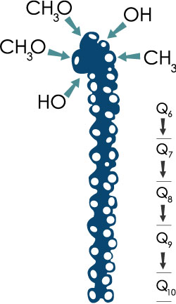 Q10 molekulas attēls